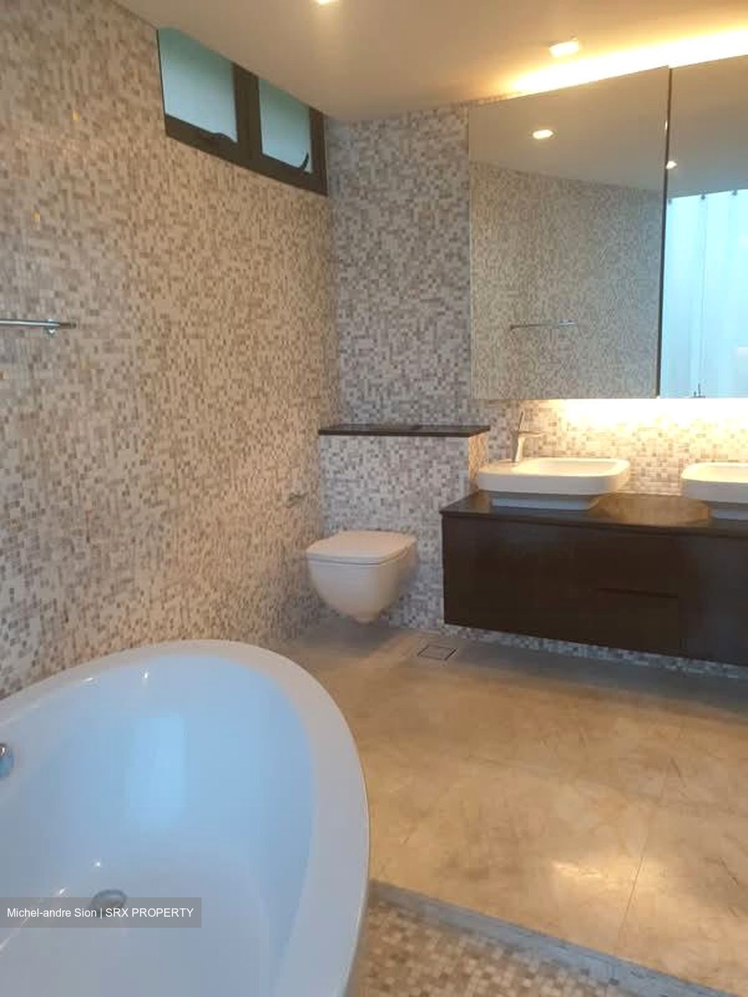 Oei Tiong Ham Park Residences (D10), Apartment #570637181